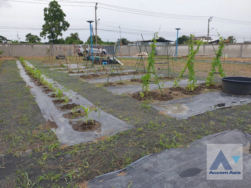 unit Land For Rent in Pattanakarn, Bangkok  (AA44102)