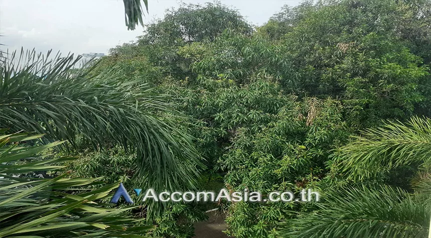 11  2 br Condominium For Rent in Sukhumvit ,Bangkok BTS Ekkamai at The Bangkok Sukhumvit 61 25903