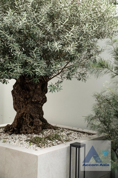 30  3 br House for rent and sale in Lat Phrao ,Bangkok  AA44953