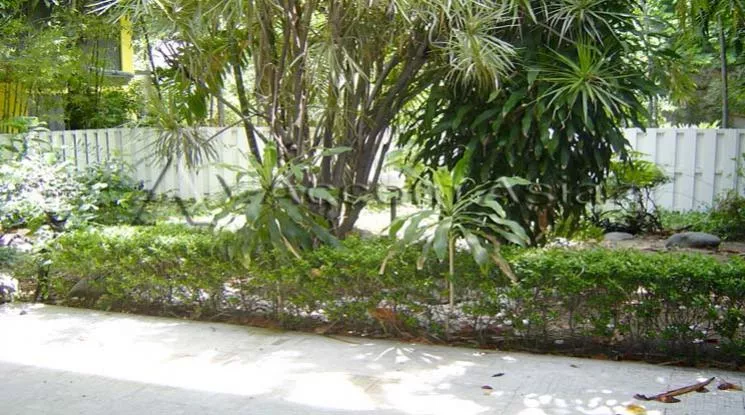 6  2 br House For Rent in Sukhumvit ,Bangkok BTS Asok - MRT Sukhumvit 4004401