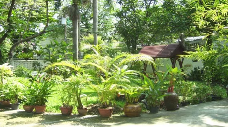 unit 3 Bedrooms  House For Rent & Sale in Sukhumvit, Bangkok  near BTS Phrom Phong (9016201)