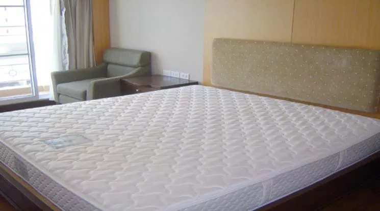 6  2 br Apartment For Rent in Sukhumvit ,Bangkok BTS Nana at Tranquil ambiance 18753